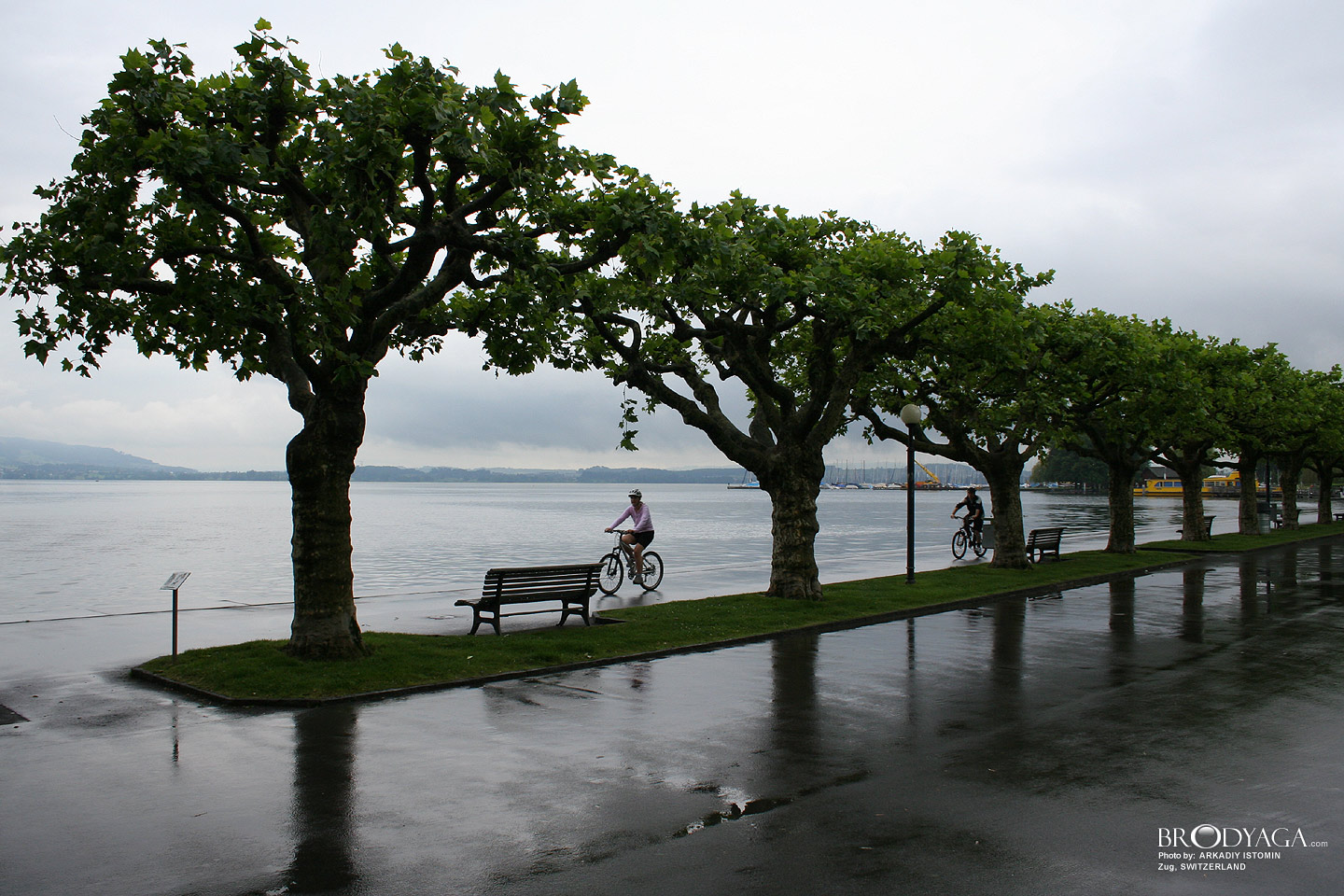 Zug